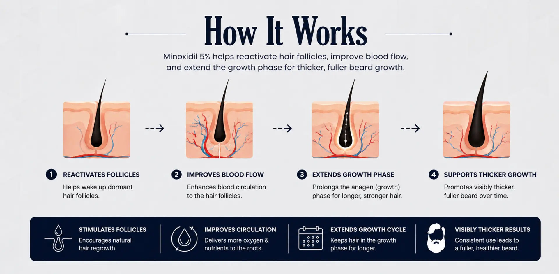 How Minoxidil 5% works for beard growth and hair growth by reactivating hair follicles, improving blood flow, extending the growth phase, and supporting thicker facial hair growth in patchy beard areas.